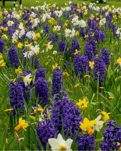 Zmes Helsinki, na 1m2